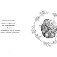 The Nine Plants Spell, 3rd Edition by Joseph S. Hopkins-Earth Fairy Holistics