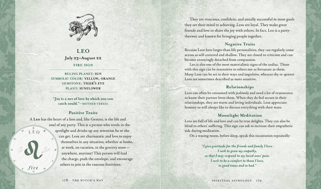 Witch's Way by Shawn Robbins-Earth Fairy Holistics