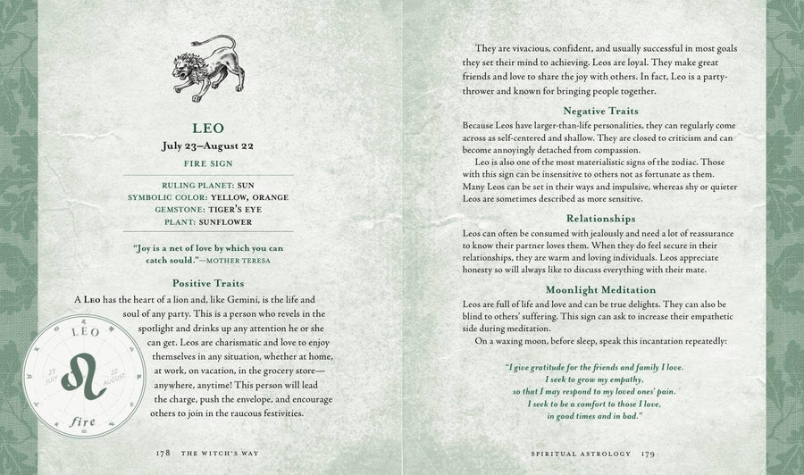 Witch's Way by Shawn Robbins-Earth Fairy Holistics