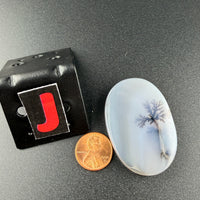 Scenic Dendritic Agate Flat Stones-Earth Fairy Holistics