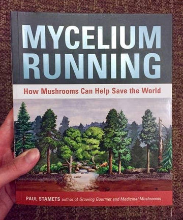 Mycelium Running: How Mushrooms Can Help Save the World-Earth Fairy Holistics