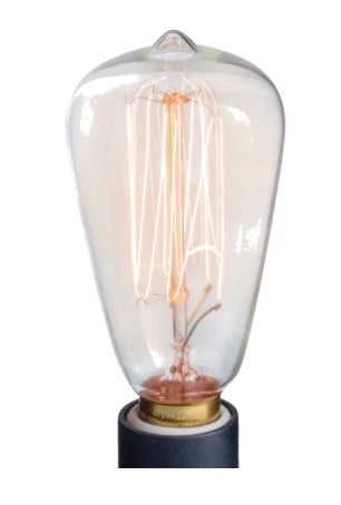 Vintage Style Light Bulb (NP3 Replacement Bulb) 40W-Earth Fairy Holistics