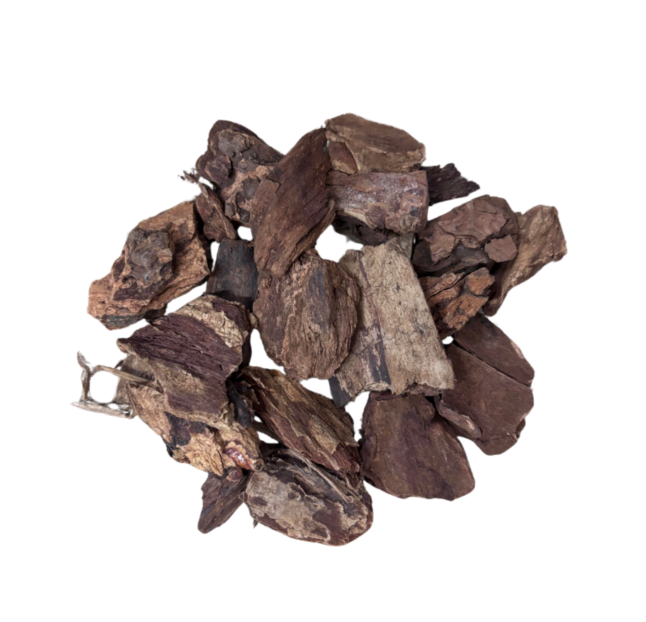 Jezebel Root (MAGICAL USE ONLY - NOT FOR INGESTING)-Earth Fairy Holistics