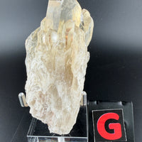 Kundalini Citrine-Earth Fairy Holistics
