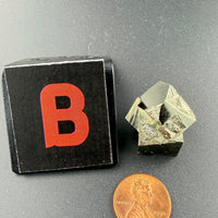 Pyrite Inter-Growth Cubes-Earth Fairy Holistics