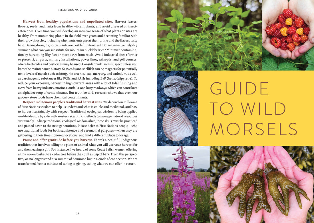 Pacific Harvest: A Northwest Coast Foraging Guide-Earth Fairy Holistics