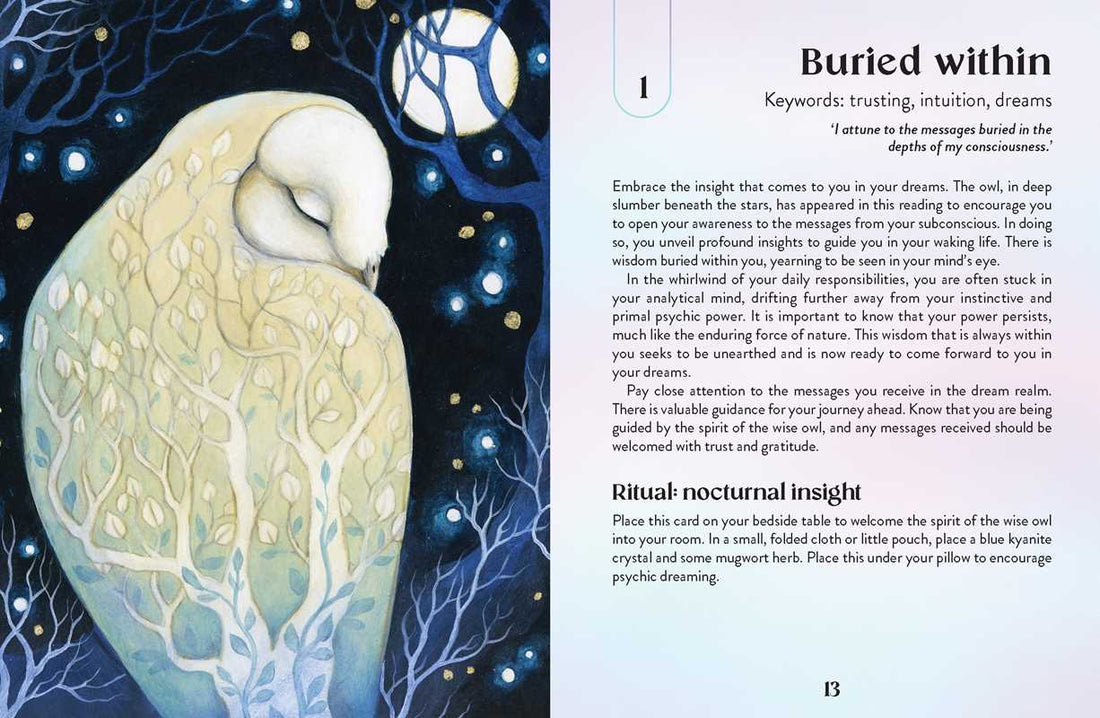 Enchanted Earth Oracle by Jessica Lahoud-Earth Fairy Holistics