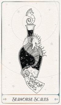 The Alchemist's Oracle-Earth Fairy Holistics