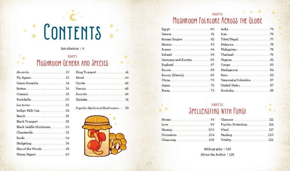 Mushroom Magick by Shawn Engel-Earth Fairy Holistics
