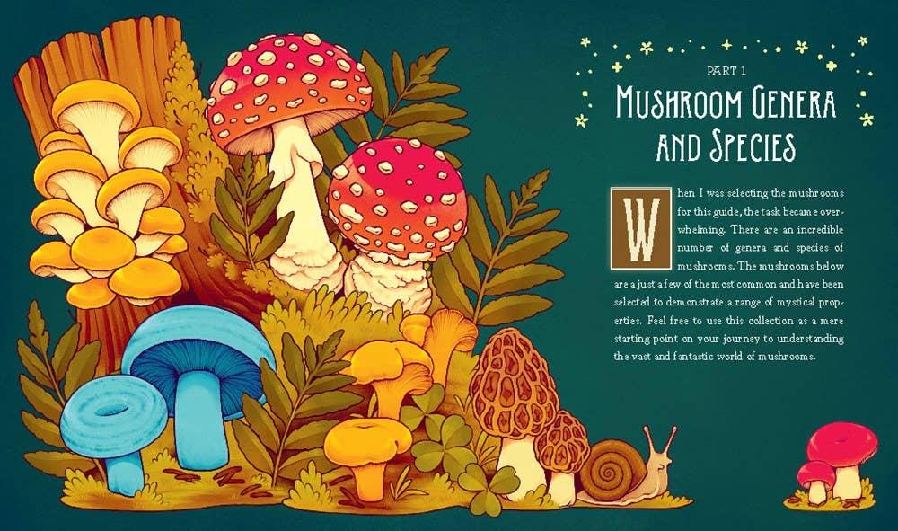 Mushroom Magick by Shawn Engel-Earth Fairy Holistics
