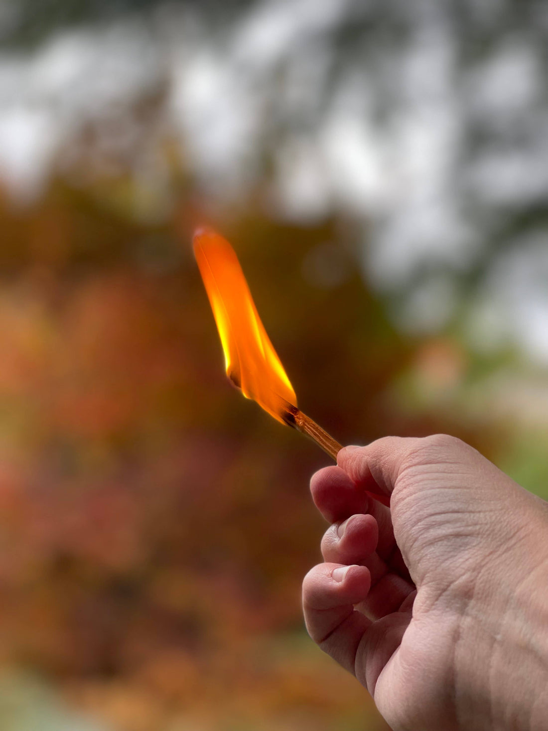Palo Santo Matches-Earth Fairy Holistics