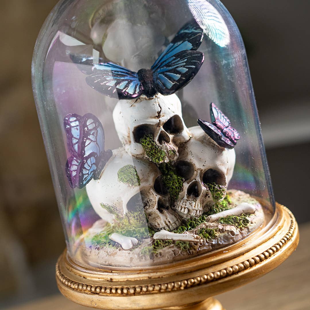 16273 Butterfly Skull Cloche-Earth Fairy Holistics