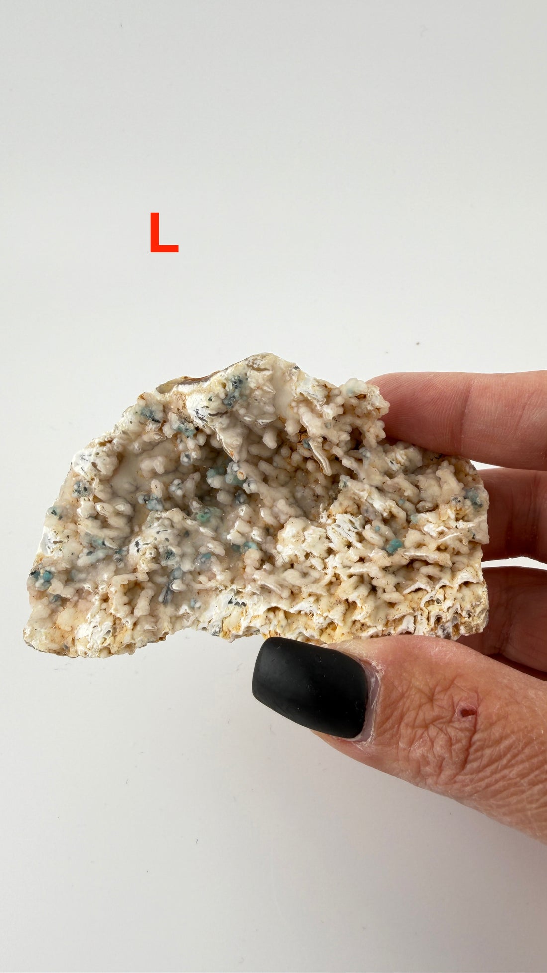Chalcedony (w/Copper/Chrysocolla & Malachite Incl) Botryoidal Specimens