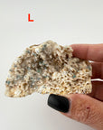 Chalcedony (w/Copper/Chrysocolla & Malachite Incl) Botryoidal Specimens-Earth Fairy Holistics