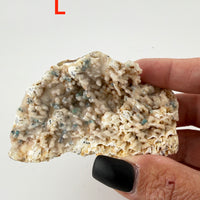Chalcedony (w/Copper/Chrysocolla & Malachite Incl) Botryoidal Specimens
