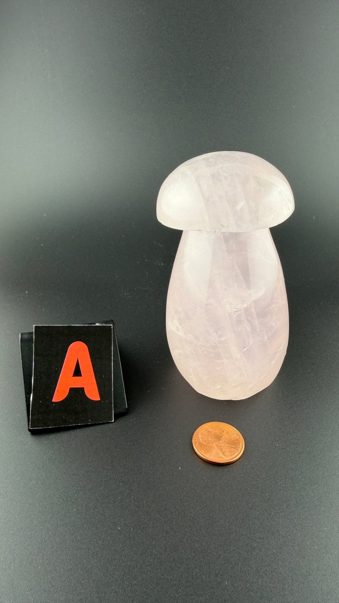 Rose Quartz Mushroom-Earth Fairy Holistics