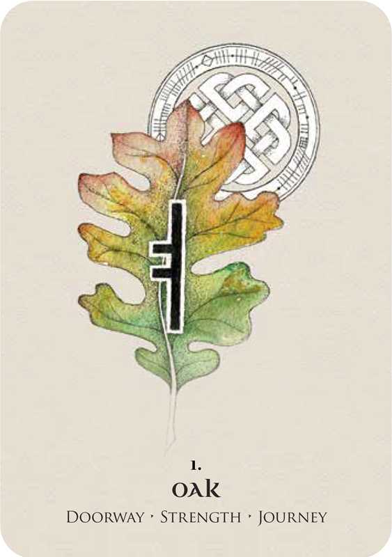 Celtic Spirit Oracle by Nicola McIntosh-Earth Fairy Holistics