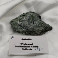 Actinolite Specimens