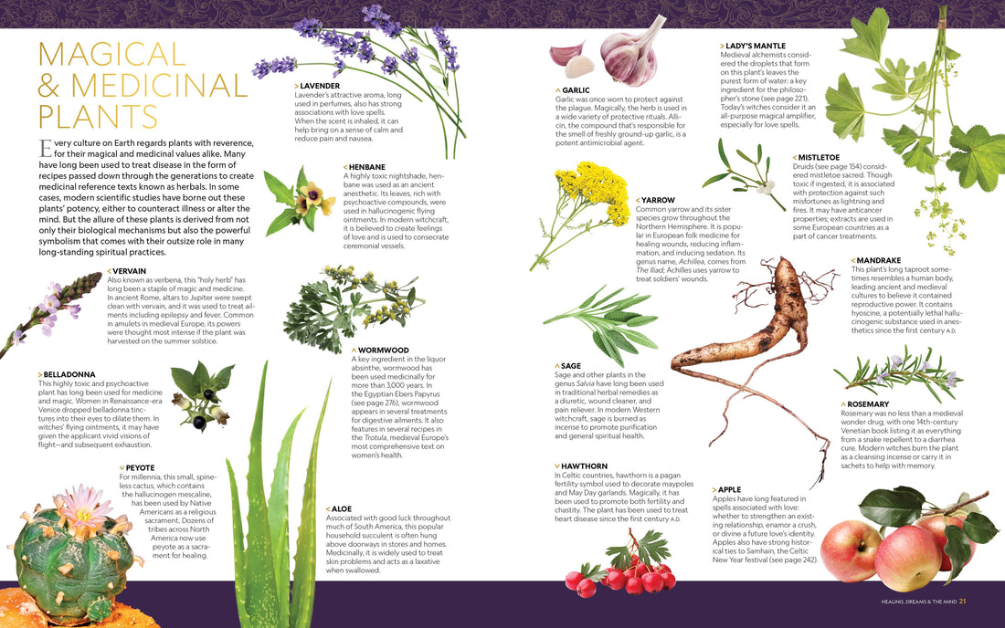 NG Book of Magic-Earth Fairy Holistics