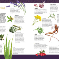 NG Book of Magic-Earth Fairy Holistics