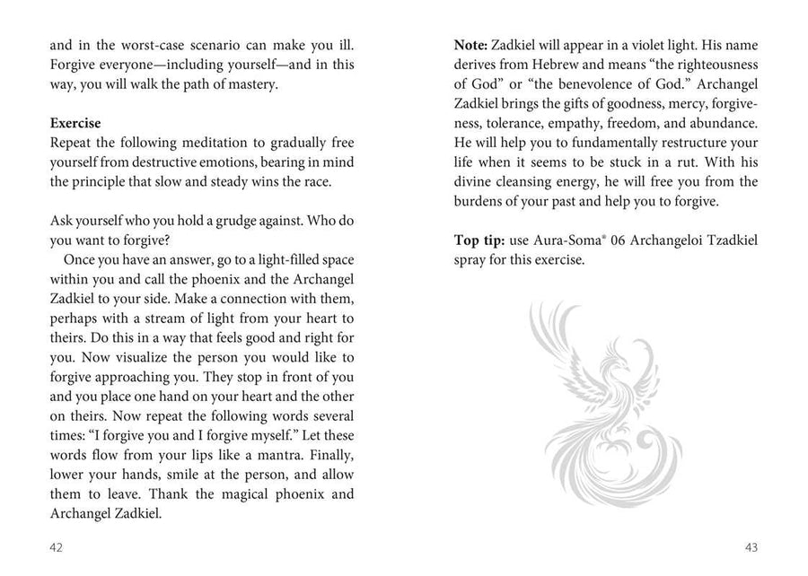Oracle of the Phoenix by Christine Arana Fader-Earth Fairy Holistics