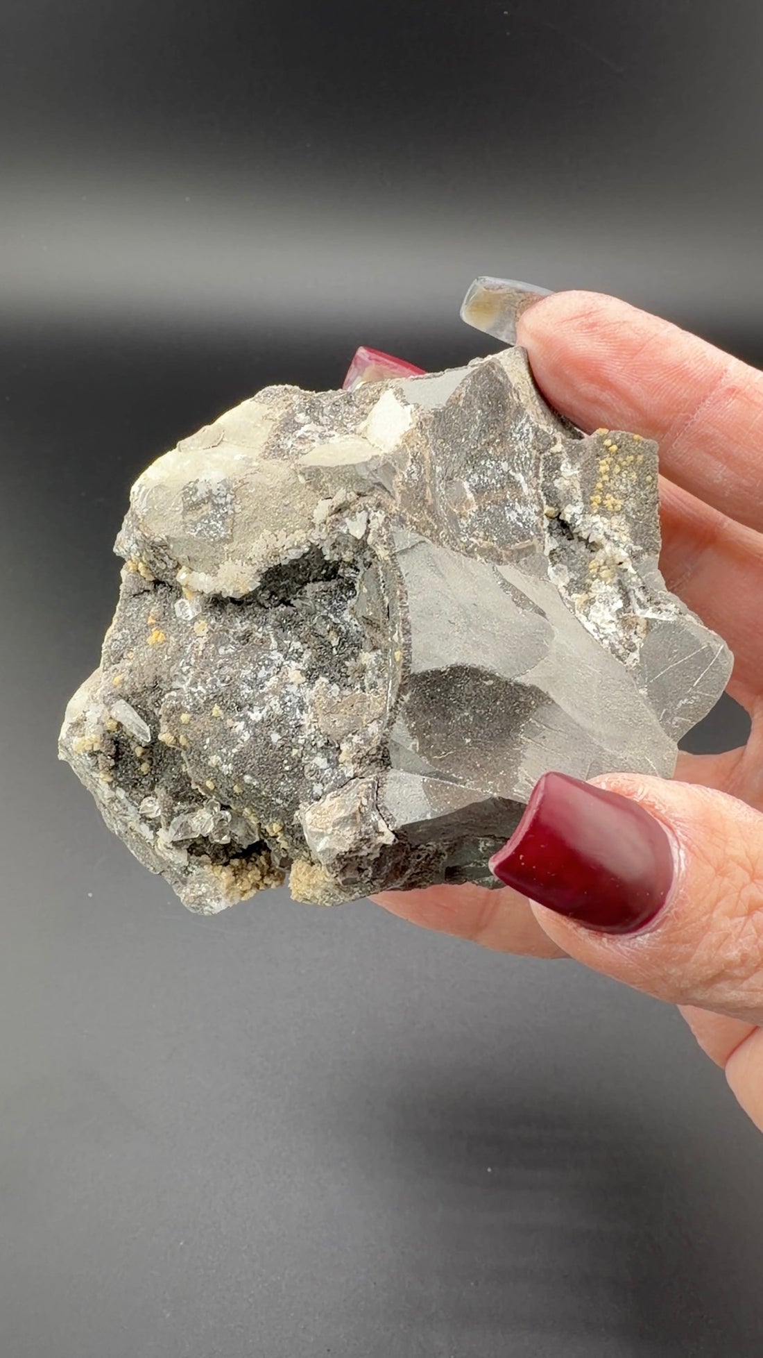 Quartz in Septarian Nodule-Earth Fairy Holistics