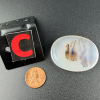 Scenic Dendritic Agate Flat Stones-Earth Fairy Holistics