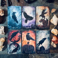 Wisdom of the Raven Oracle - J Edward Neill-Earth Fairy Holistics