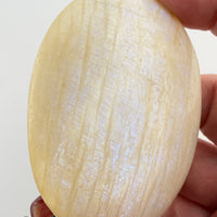 Moonstone Palm Stone-Earth Fairy Holistics