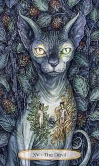 Soul Cats Tarot-Earth Fairy Holistics