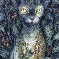 Soul Cats Tarot-Earth Fairy Holistics