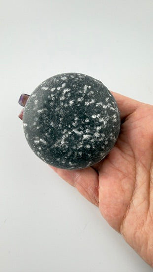 Forest Delight Shampoo Bar