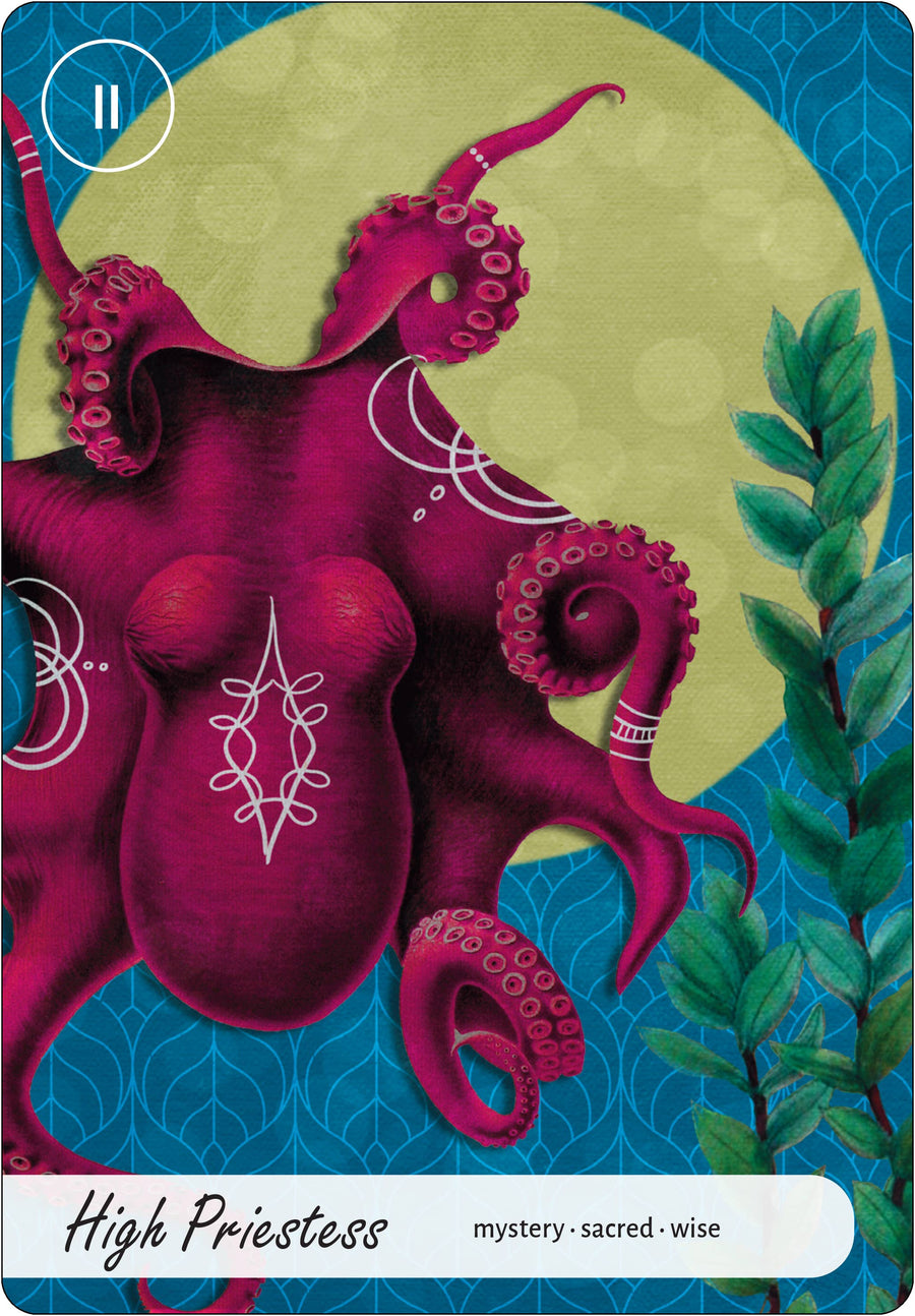 Wise Earth Medicine Tarot: 78 Cards & 96 Page Guidebook-Earth Fairy Holistics