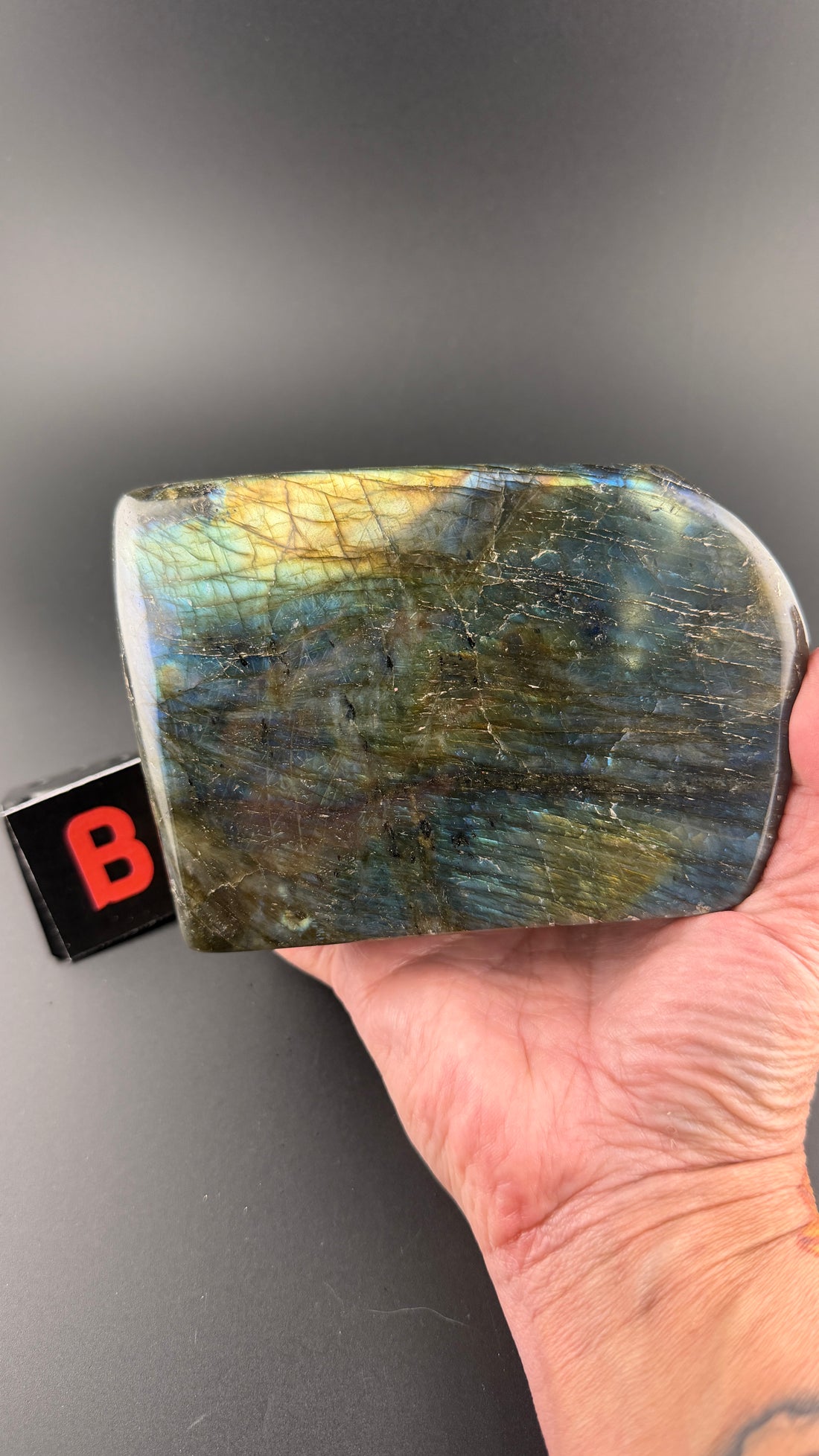 Labradorite Free Form (Multi Flash)
