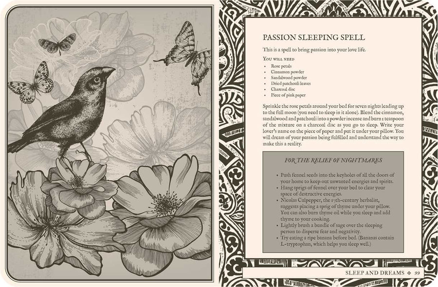 Lost Book of Spells by Fiona Horne-Earth Fairy Holistics