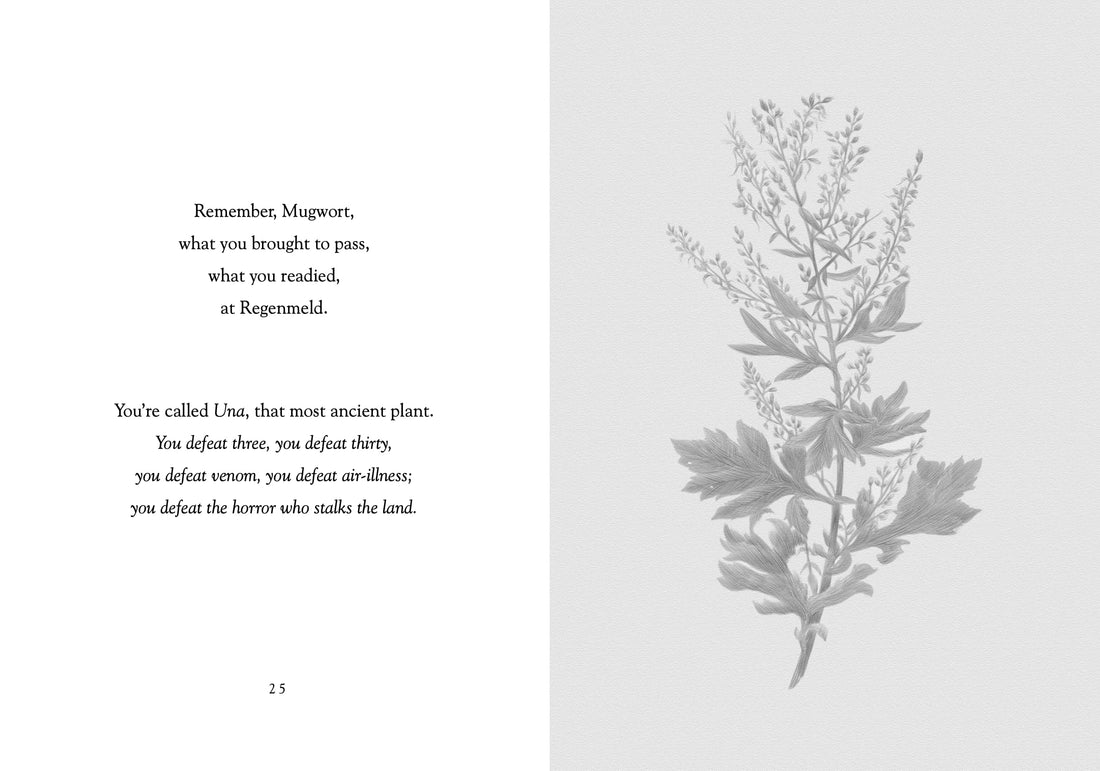 The Nine Plants Spell, 3rd Edition by Joseph S. Hopkins-Earth Fairy Holistics