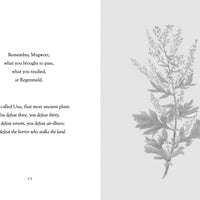 The Nine Plants Spell, 3rd Edition by Joseph S. Hopkins-Earth Fairy Holistics