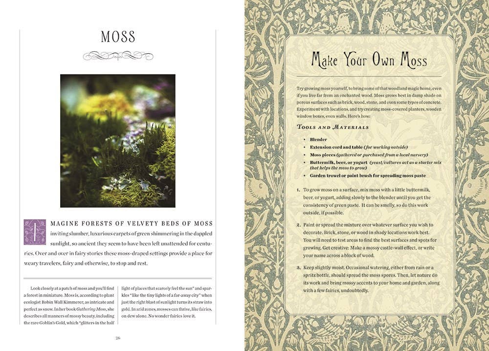 Faerie Handbook, The: The Editors of Faerie Magazine-Earth Fairy Holistics