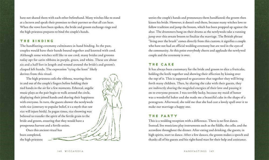 Wiccapedia by Shawn Robbins-Earth Fairy Holistics