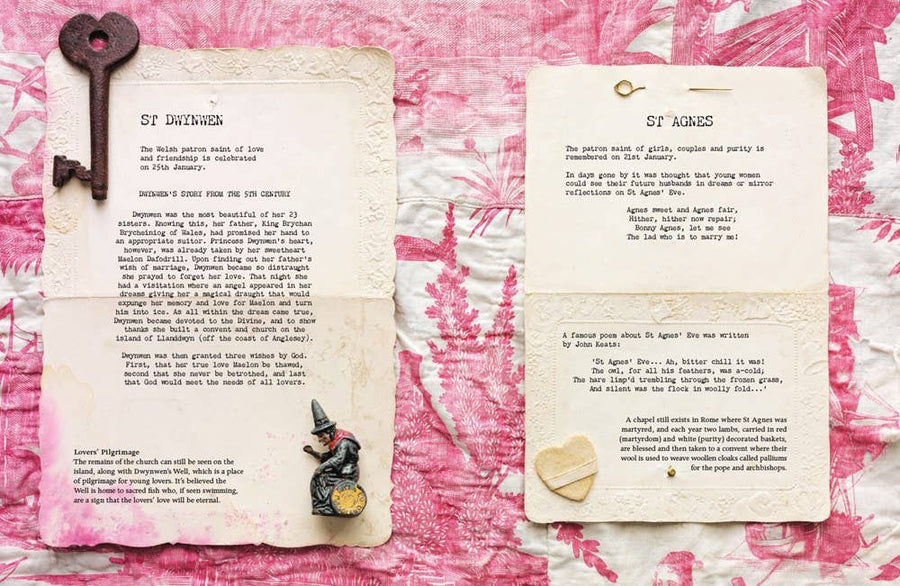 Curiosity of Folklore, Magic and Spells, A : Sam McKechnie-Earth Fairy Holistics