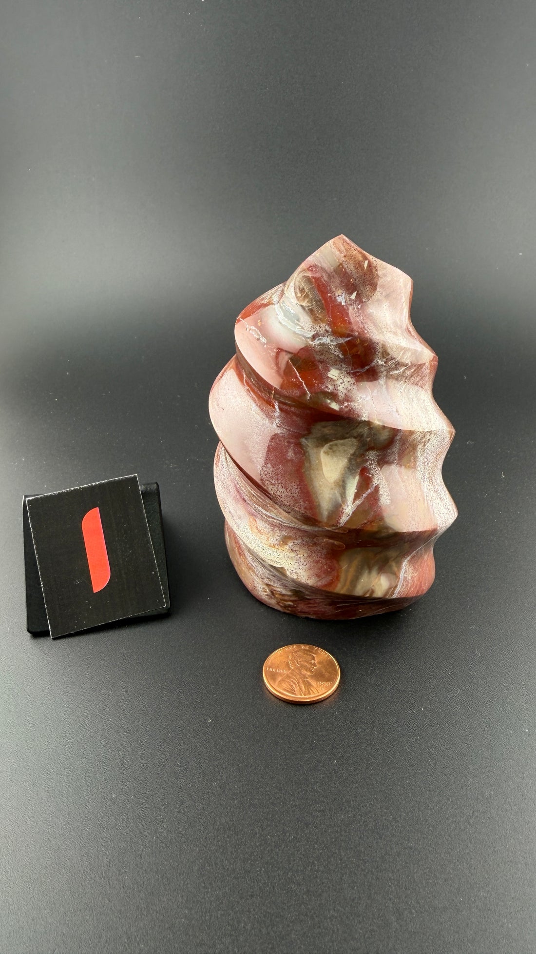 Petrified Wood Flames-Earth Fairy Holistics