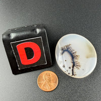 Scenic Dendritic Agate Flat Stones-Earth Fairy Holistics