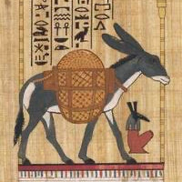Egyptian Sacred Animals Oracle