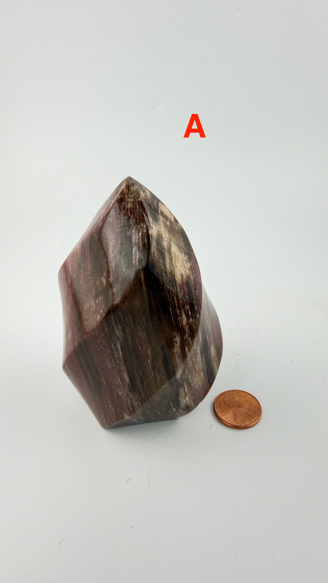 Petrified Wood Flames-Earth Fairy Holistics