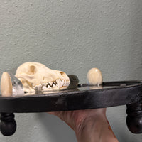 The Balanced Law Altar-Earth Fairy Holistics