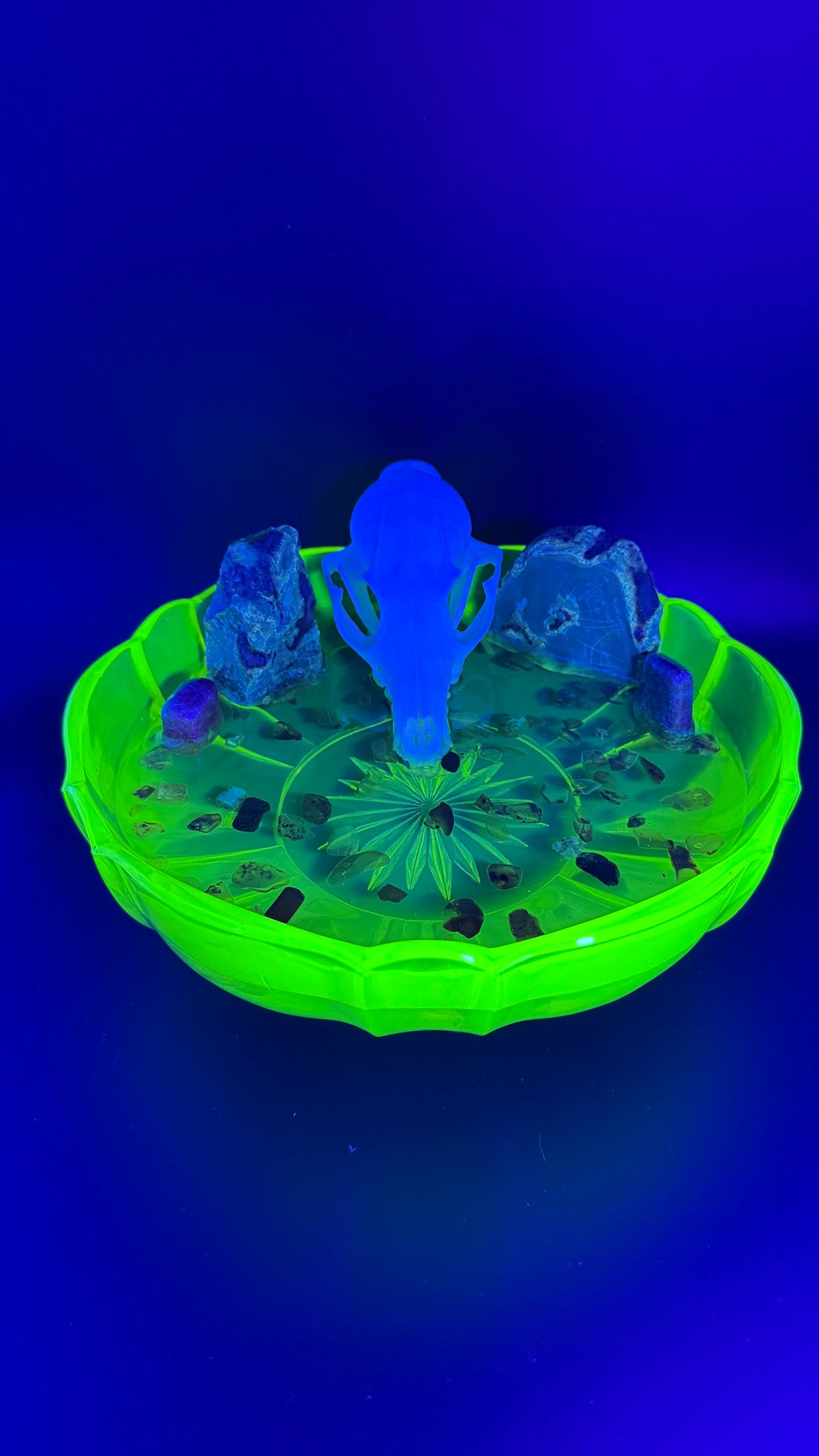 Foxfire Glow (UV Reactive)