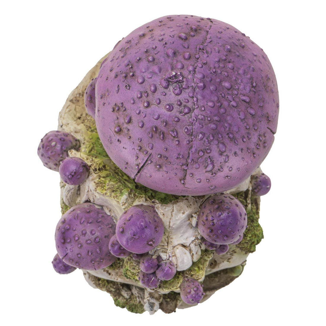 Skull with Purple Mushrooms-Earth Fairy Holistics