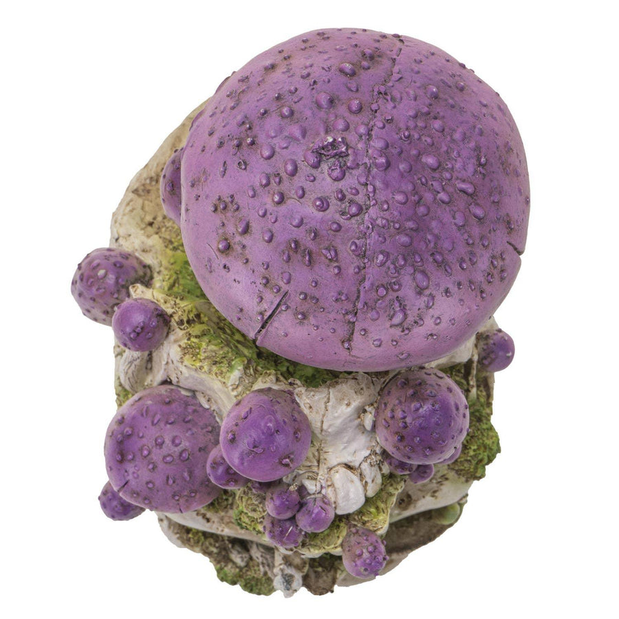 Skull with Purple Mushrooms-Earth Fairy Holistics