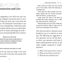 Runes and Roots Oracle by Nicolette Miele-Earth Fairy Holistics