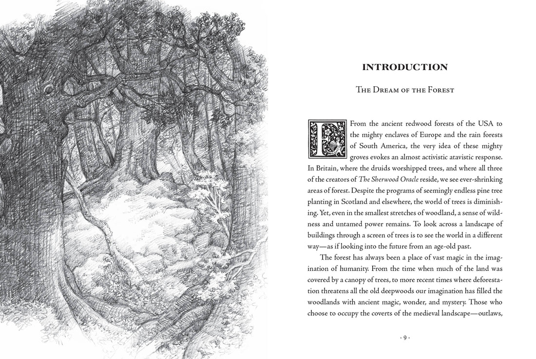 The Sherwood Oracle: Hidden Lore of the Wild Forest-Earth Fairy Holistics
